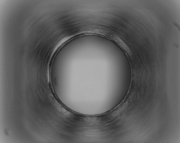X0000091921036200709051227