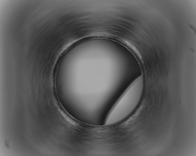 X0000091921037200709051227