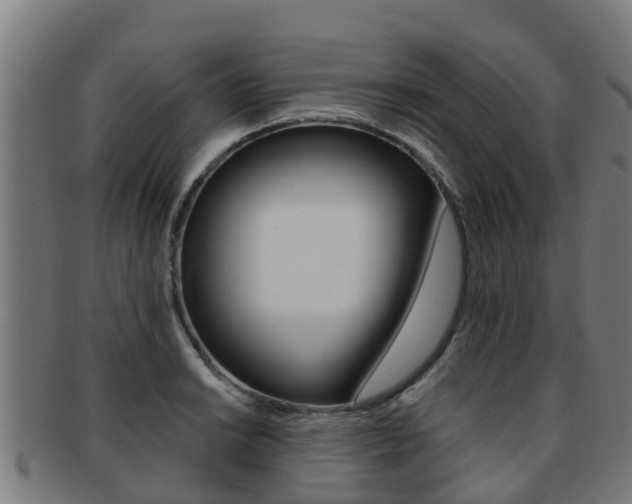 X0000091921038200709051227