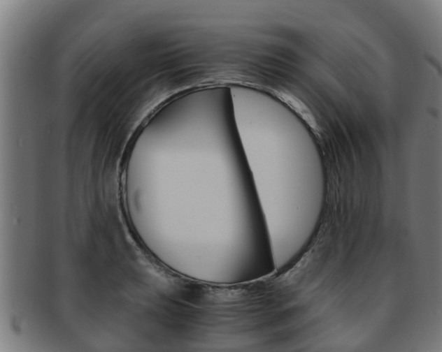 X0000091921039200709051227