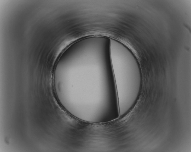 X0000091921040200709051227