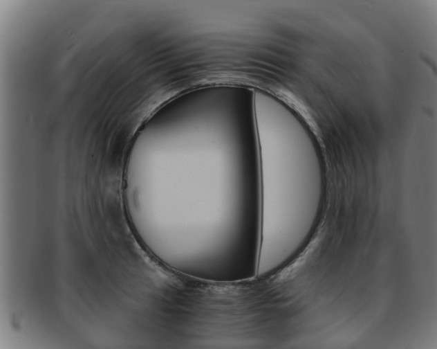 X0000091921041200709051227