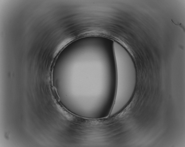 X0000091921042200709051227
