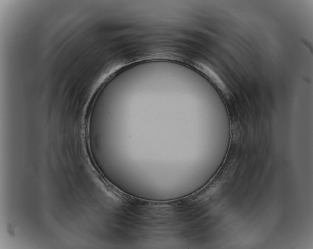 X0000091921043200709051227