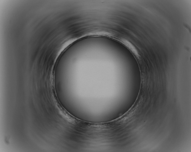 X0000091921044200709051227