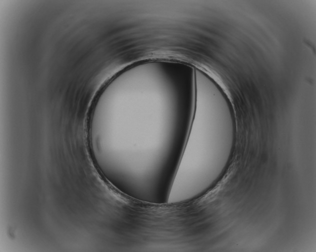 X0000091921045200709051227
