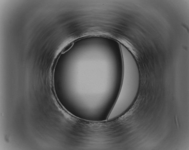 X0000091921046200709051227