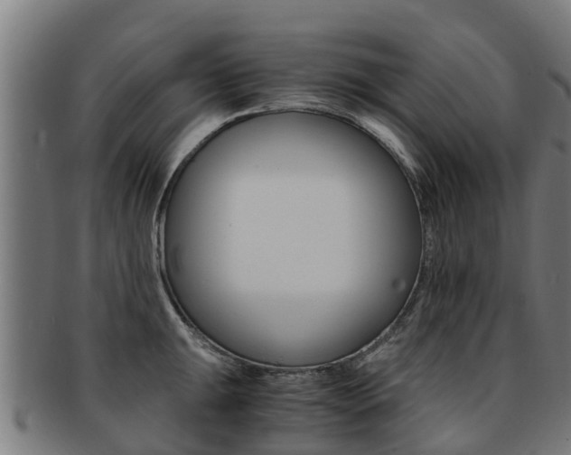 X0000091921047200709051227