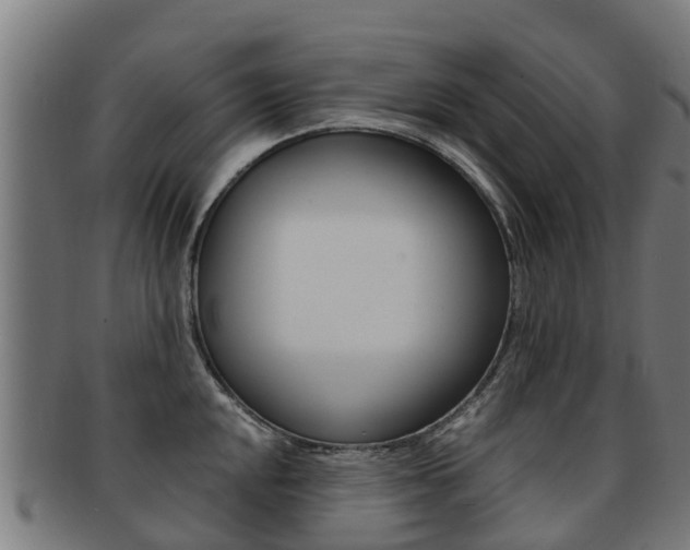 X0000091921048200709051227
