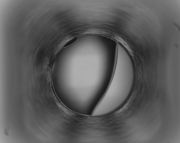 X0000091921049200709051227