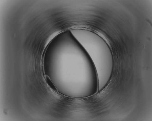 X0000091921050200709051227