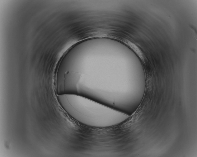 X0000091921051200709051227