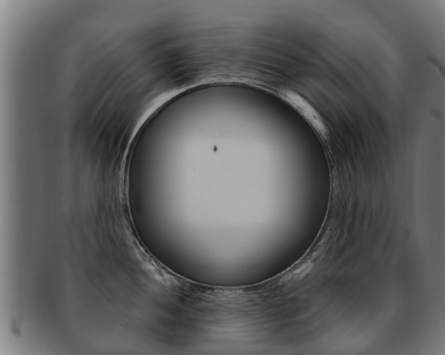 X0000091921052200709051227
