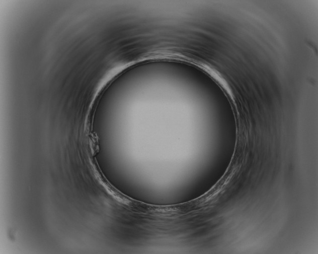 X0000091921053200709051227