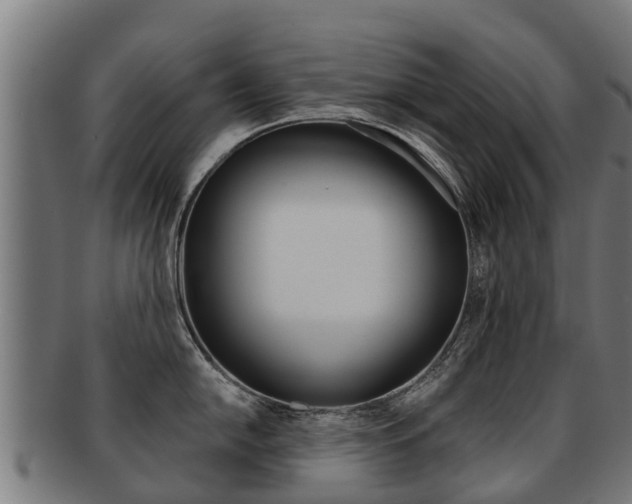 X0000091921054200709051227