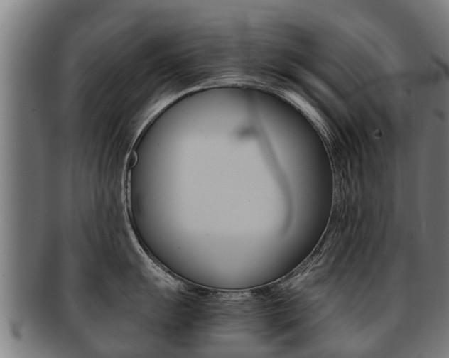 X0000091921055200709051227