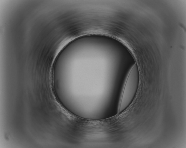 X0000091921056200709051227