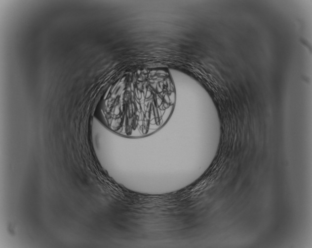 X0000091921057200709051226