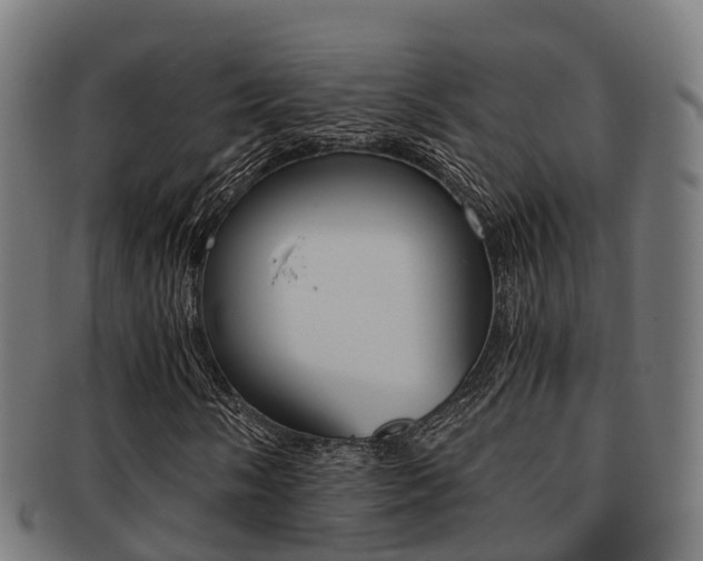 X0000091921058200709051226