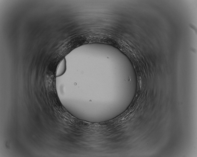 X0000091921059200709051226