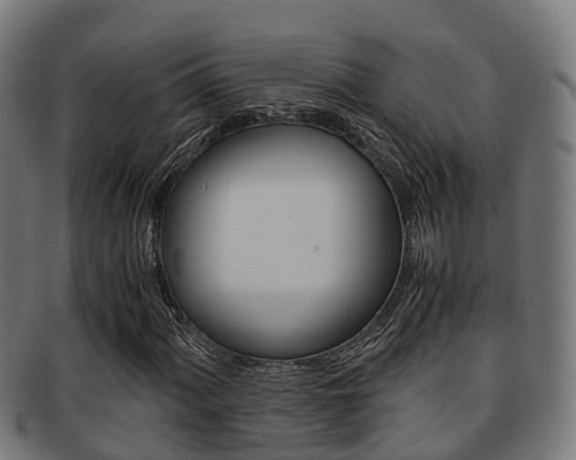 X0000091921060200709051226