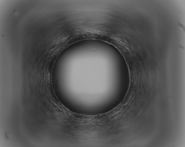 X0000091921061200709051226