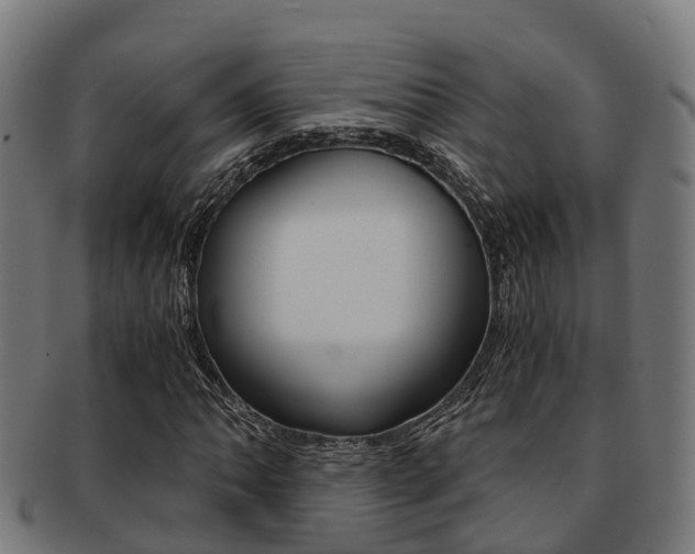 X0000091921062200709051226