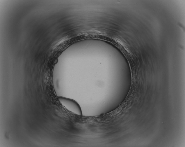 X0000091921063200709051226