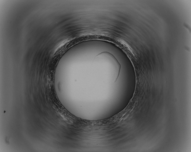 X0000091921064200709051226