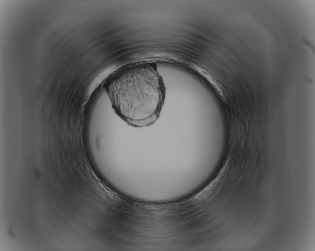 X0000091921066200709051226