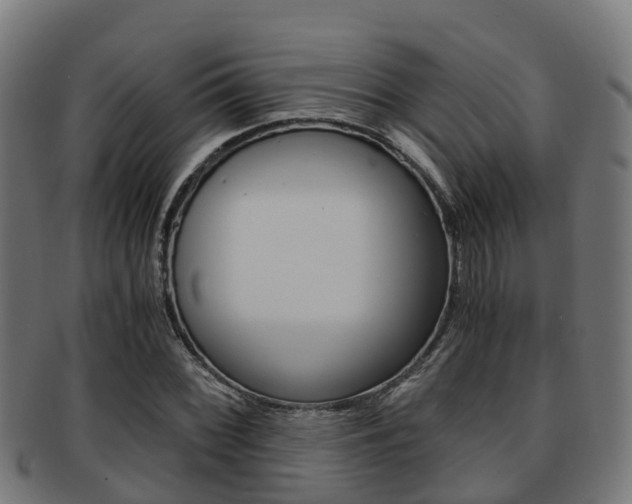 X0000091921068200709051226
