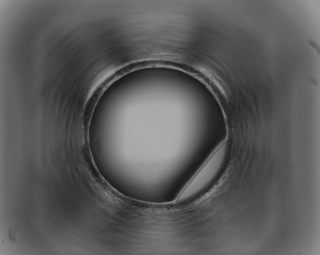 X0000091921069200709051226
