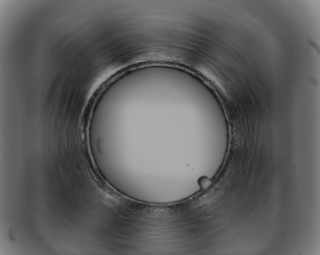 X0000091921070200709051226