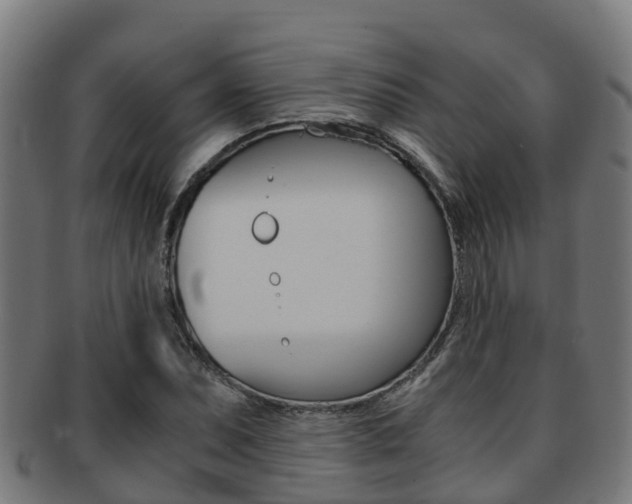 X0000091921071200709051226