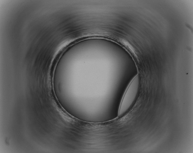X0000091921072200709051226