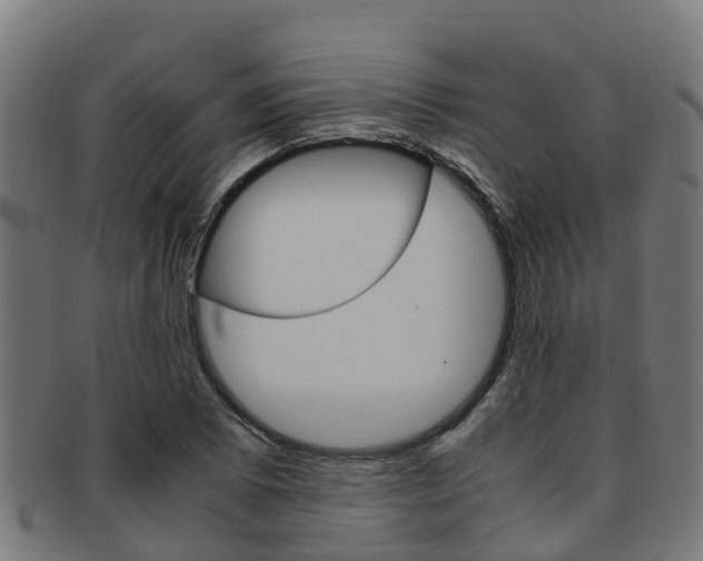 X0000091921073200709051226
