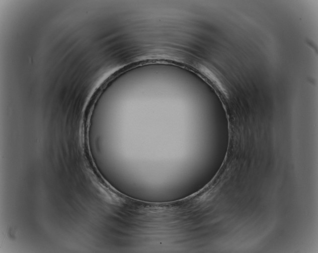 X0000091921076200709051226