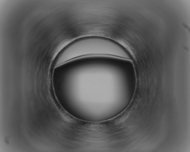 X0000091921077200709051226