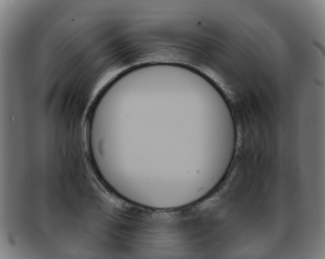 X0000091921078200709051226