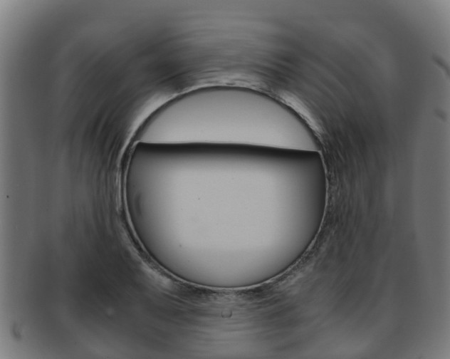 X0000091921079200709051226