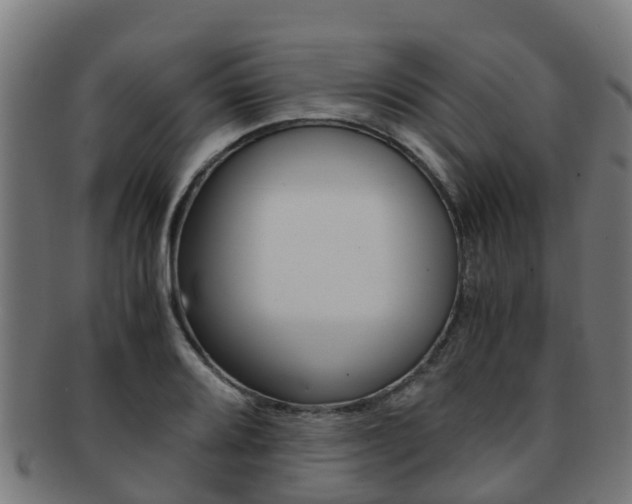 X0000091921080200709051226