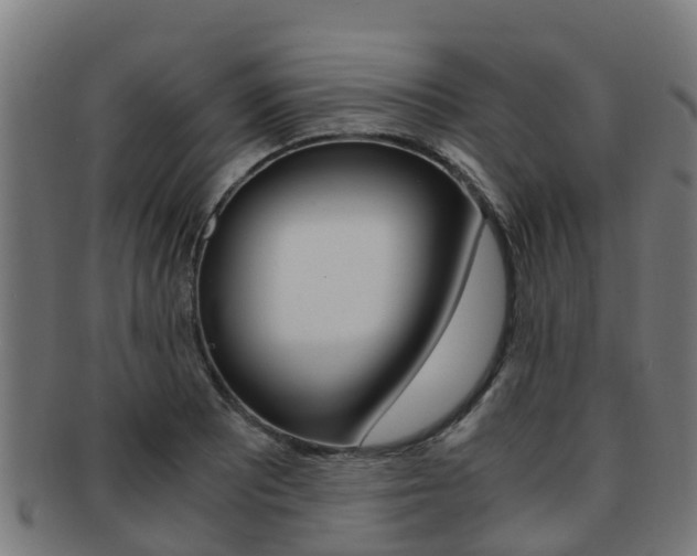 X0000091921081200709051226