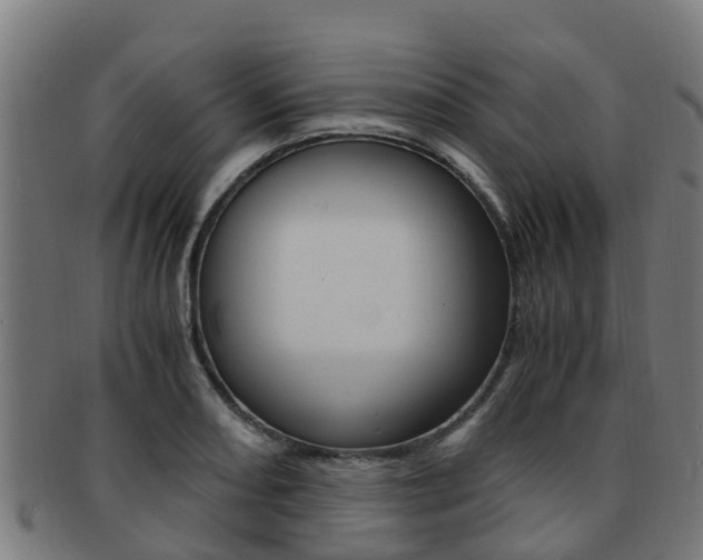 X0000091921082200709051226
