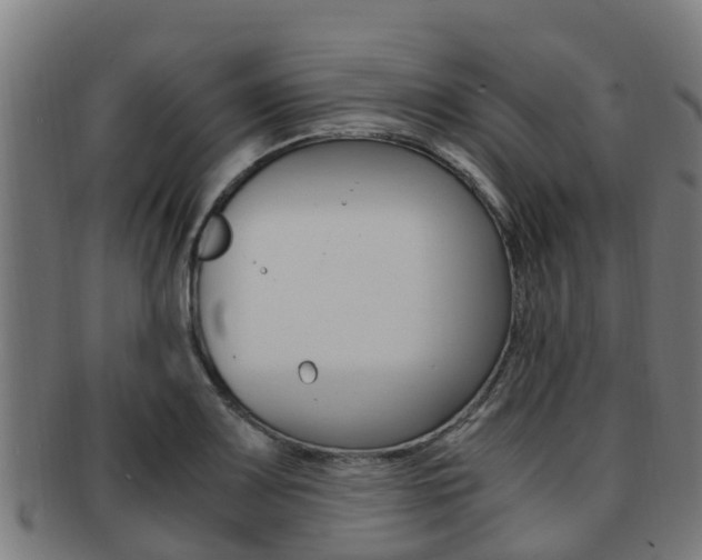 X0000091921083200709051226