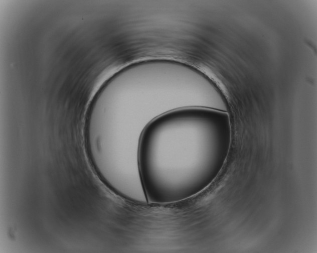 X0000091921085200709051226