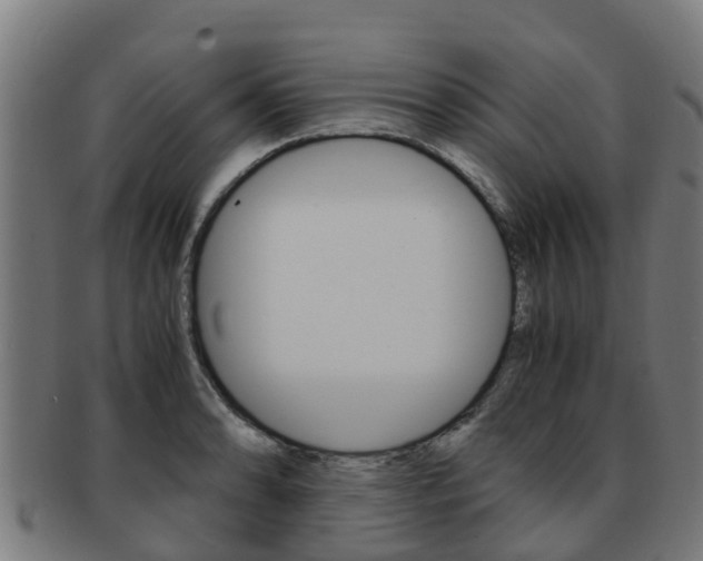 X0000091921086200709051226