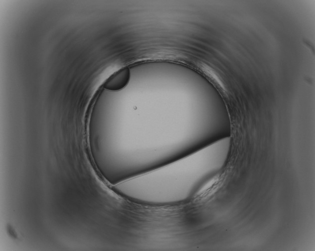 X0000091921087200709051226