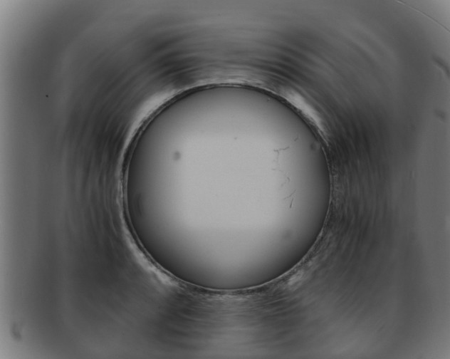 X0000091921088200709051226