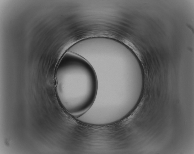 X0000091921089200709051226