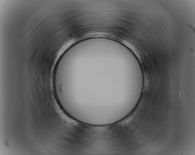 X0000091921090200709051226